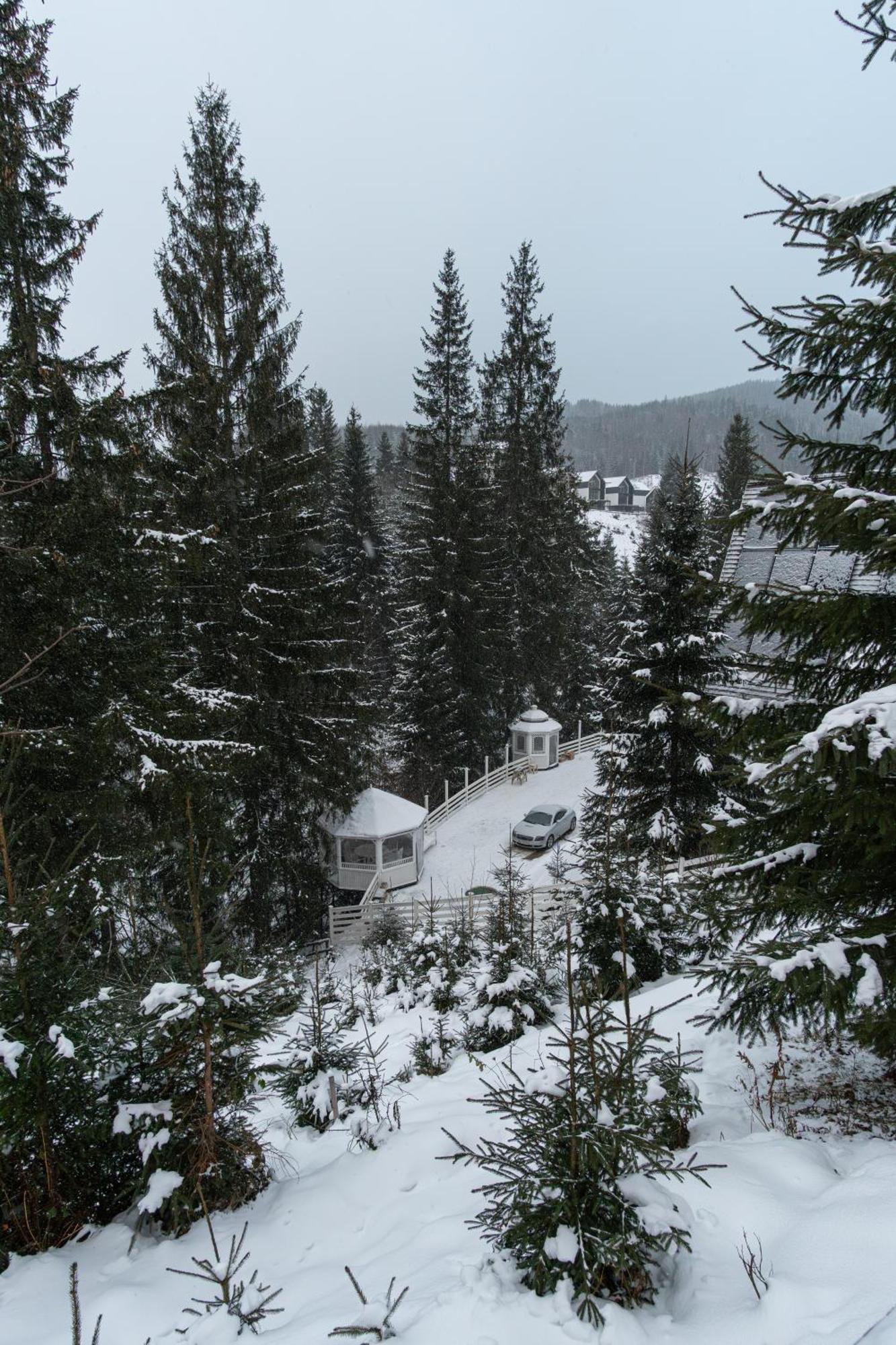 Freeman Bukovel - Увесь Будинок Экстерьер фото