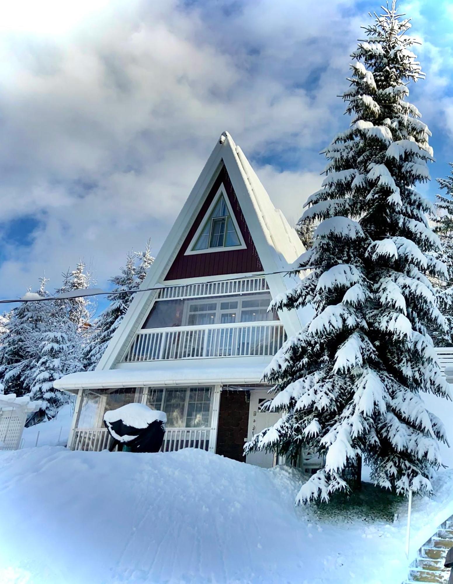 Freeman Bukovel - Увесь Будинок Экстерьер фото